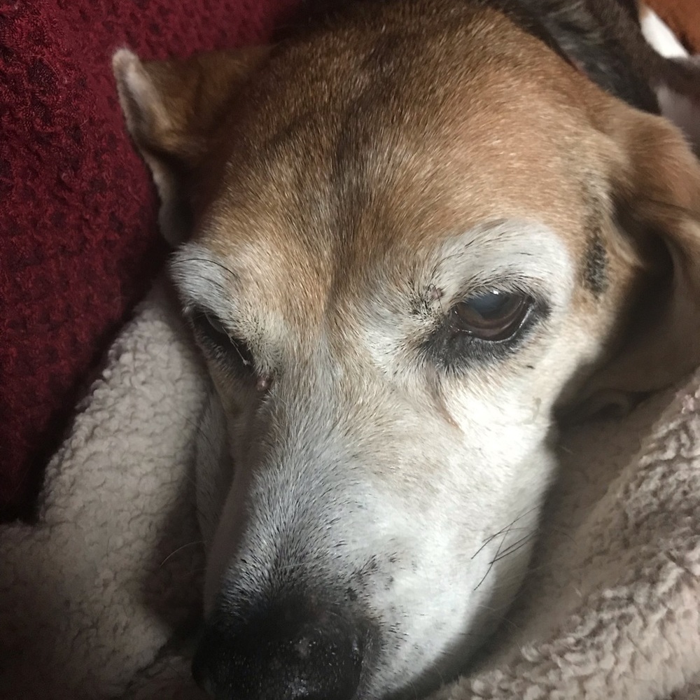 Meet your Posher, Gabrielle